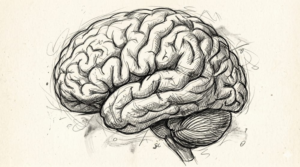 Skills: How to Get Real Work Done and Spend More Time on the Things That Actually Matter